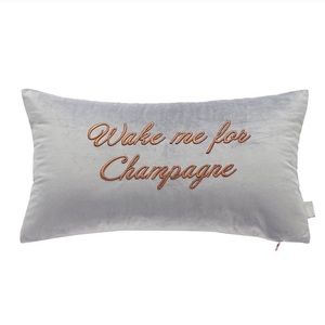 NWT Ted Baker Velvet Throw Pillow